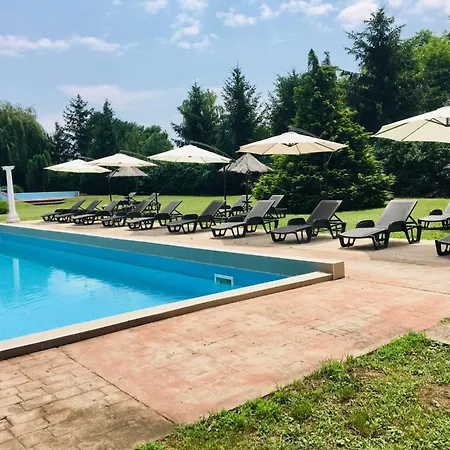 Robin *